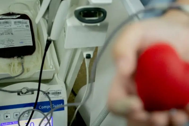 App que incentiva doação de sangue já pode ser baixado