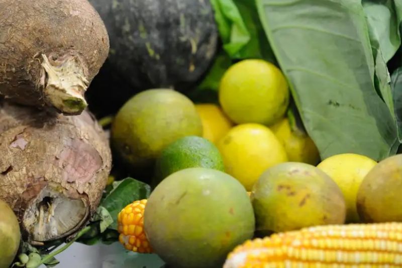 Agrotóxicos: 25% dos alimentos de origem vegetal no país têm resíduos