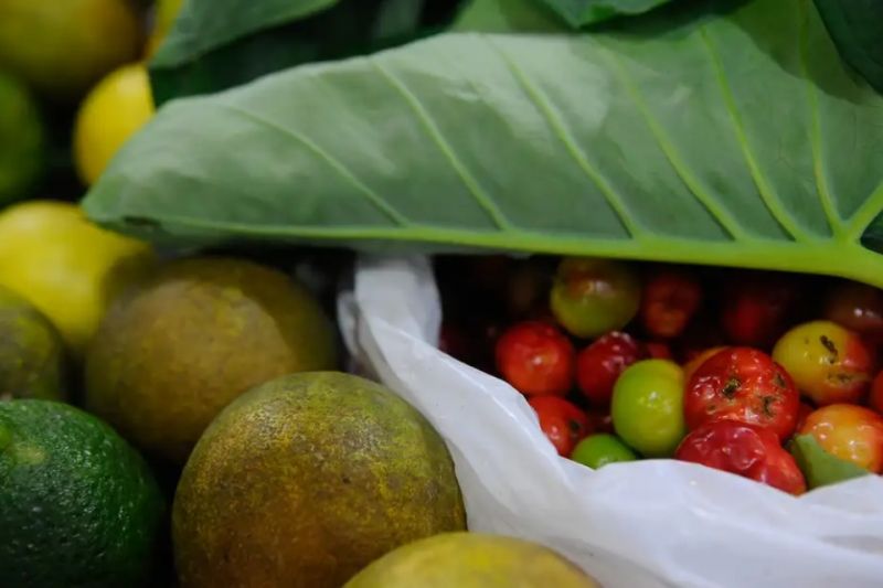 Registro de novos agrotóxicos segue em alta no Brasil, diz Mapa