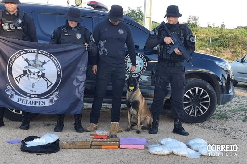 Mulher que levava grande quantidade de drogas em ônibus é presa em Delmiro Gouveia