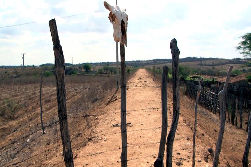 União reconhece situação de emergência, por causa da seca, em três cidades do Sertão