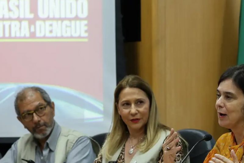 Juntas, dengue e gripe podem pressionar sistema de saúde, diz ministra
