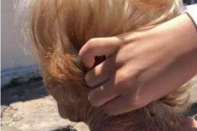 Polícia prende em Dois Riachos acusado de abandonar avó de 90 anos em condições precárias