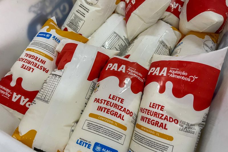 Governo de Alagoas compra um milhão de litros de leite por mês de agricultores familiares