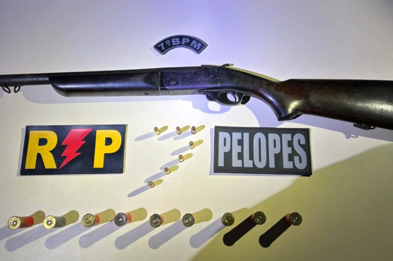 Polícia apreende espingarda e munições em Santana do Ipanema