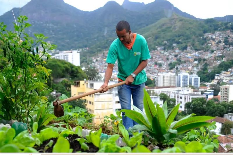 Nova lei pretende estimular a produção de alimentos nas cidades