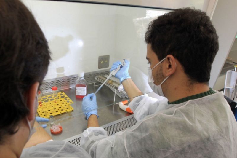 Instituto Butantan suspende desenvolvimento de vacina contra Covid-19