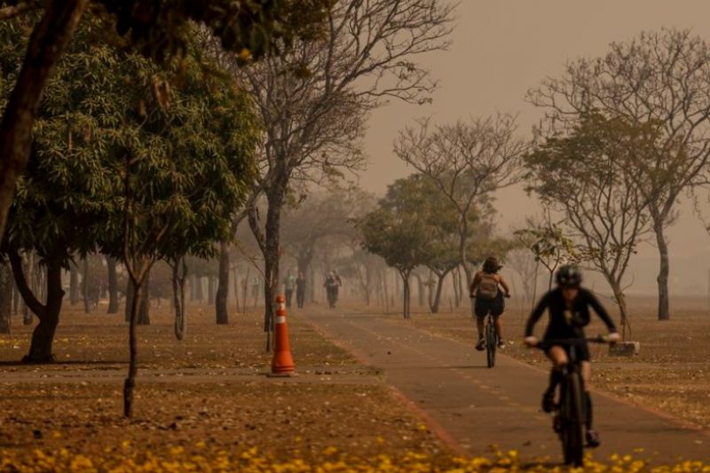 População deve evitar exposição à fumaça e atividades físicas