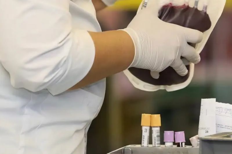 STF reconhece direito de testemunhas de Jeová recusar transfusão