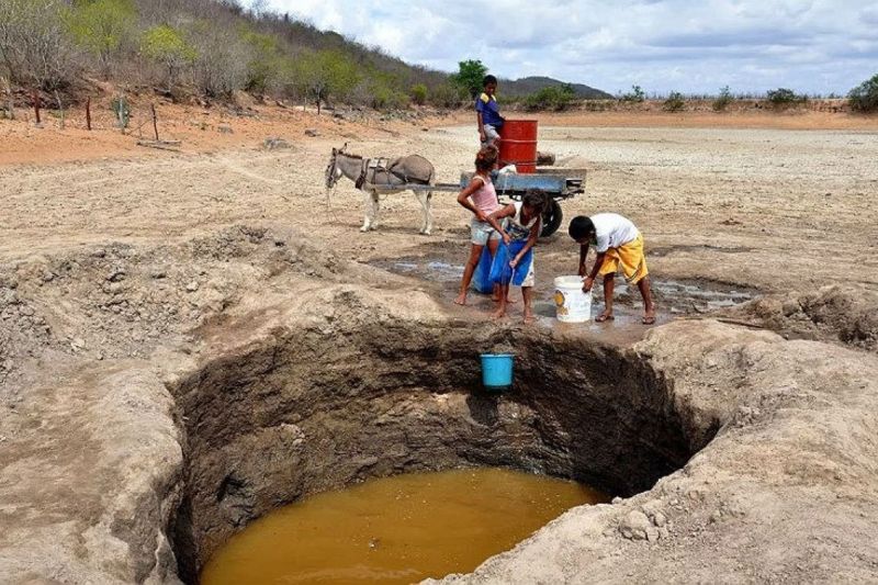 População sofre com agravamento da seca e preocupa prefeitos no Sertão de Alagoas