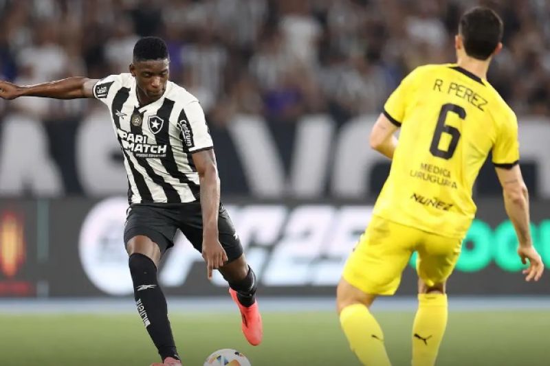 Botafogo busca classificação inédita para final da Libertadores