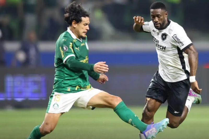 Palmeiras e Botafogo jogam por liderança do Campeonato Brasileiro