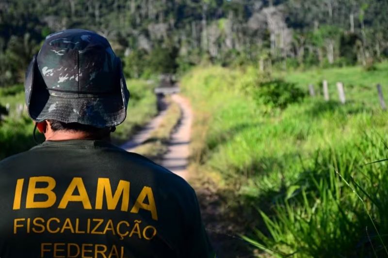 Ibama abre inscrições para concurso com 460 vagas e salário de até R$ 9,9 mil