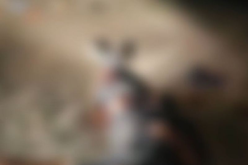 Homem morre após ser atropelado por caminhão enquanto dormia debaixo do veículo na BR-423