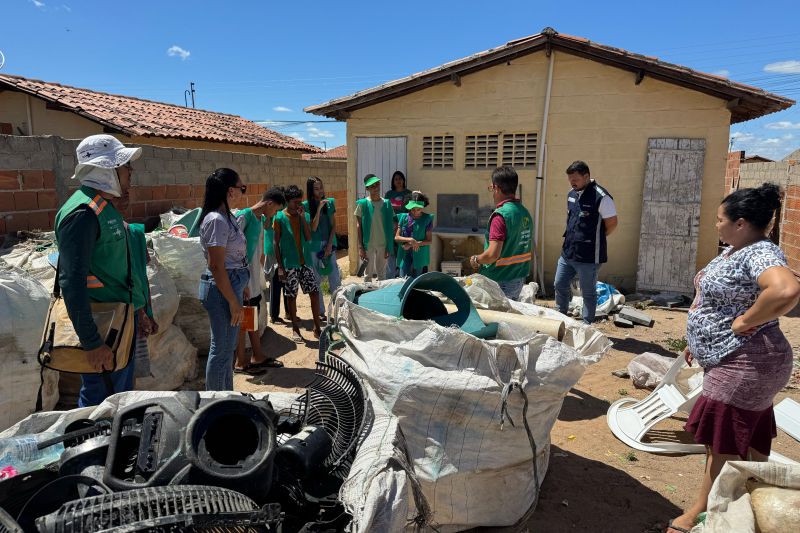 Alunos se mobilizam na prevenção e combate à dengue em Piranhas