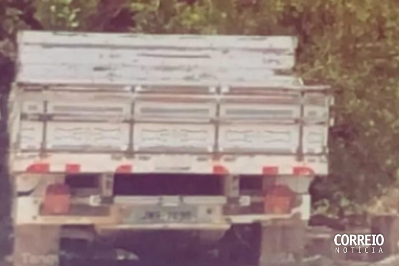 Caminhonete carregada com palma é furtada na zona rural de Água Branca