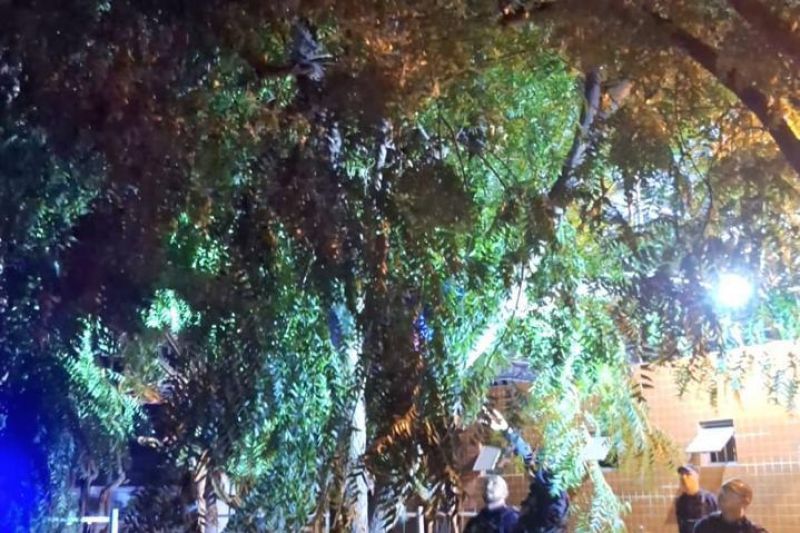 Menor de idade é apreendido suspeito de tentar furtar moto em Delmiro Gouveia