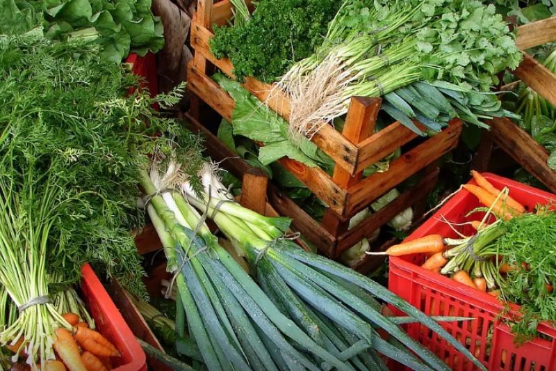 Custo de cesta básica ideal para uma pessoa chega a R$ 432 em abril