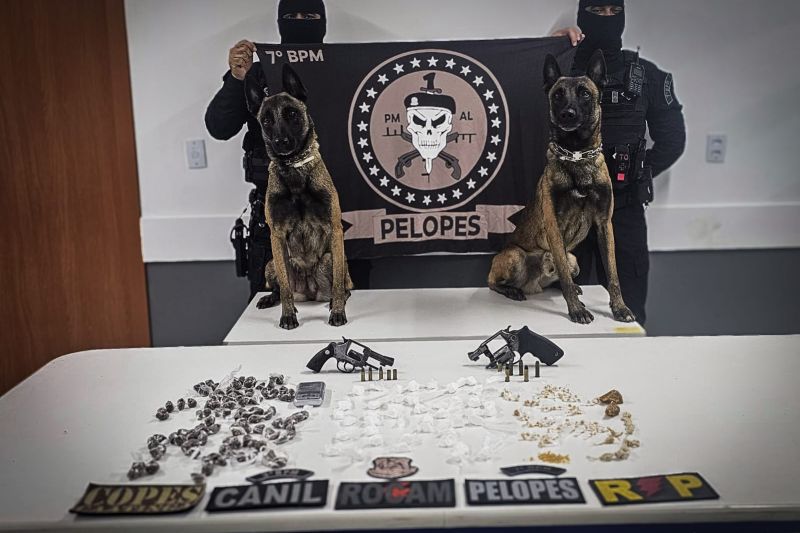 Confronto termina com suspeito morto e grande apreensão de drogas e armas em Santana