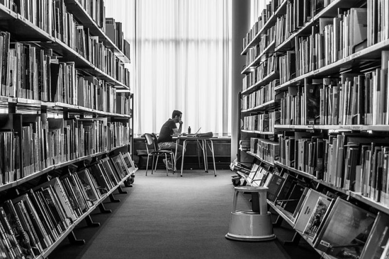 Livros Infantis Que Celebram a Cultura Africana e Afro-brasileira