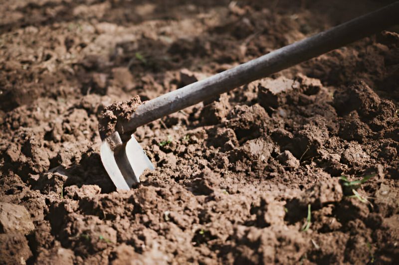 Filho ameaça pai com enxada e causa destruição em casa na zona rural de Olivença