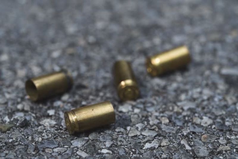 Disparos de arma de fogo durante vaquejada deixa várias pessoas assustadas em Maravilha