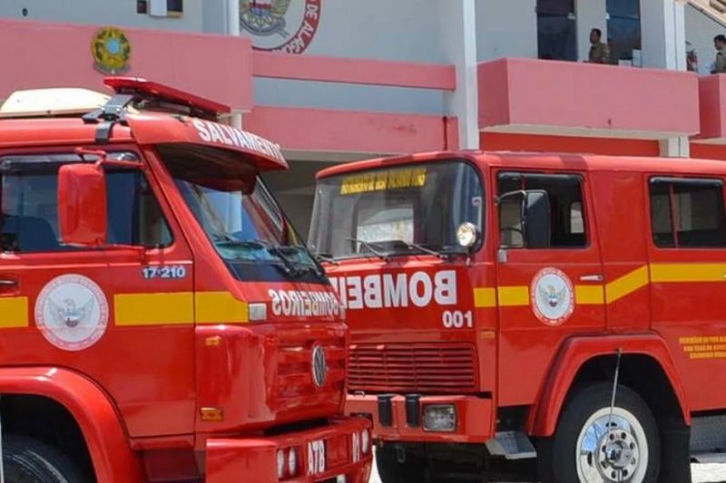 Bombeiros militares capturam serpente no centro da cidade de Santana do Ipanema