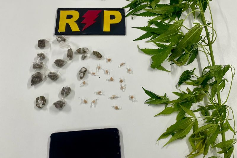 Polícia prende homem e encontra drogas e planta de maconha em Santana do Ipanema
