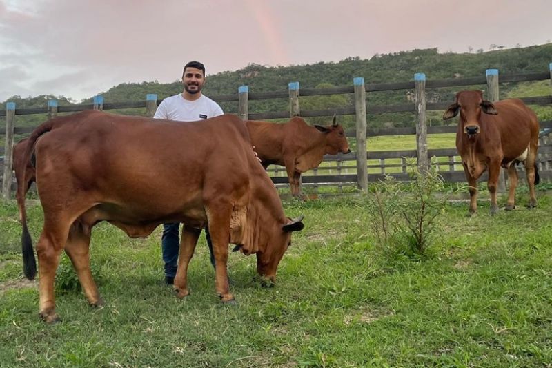 Boiada milionária de filho do prefeito de Mata Grande desperta curiosidade