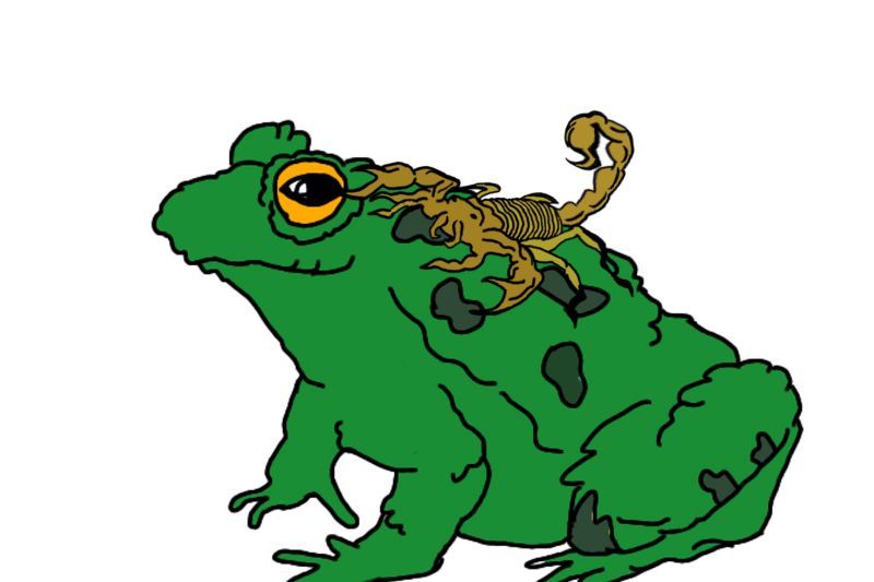 O sapo e o escorpião