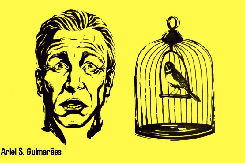 Contos delmirenses — Um passarinho com mau-olhado