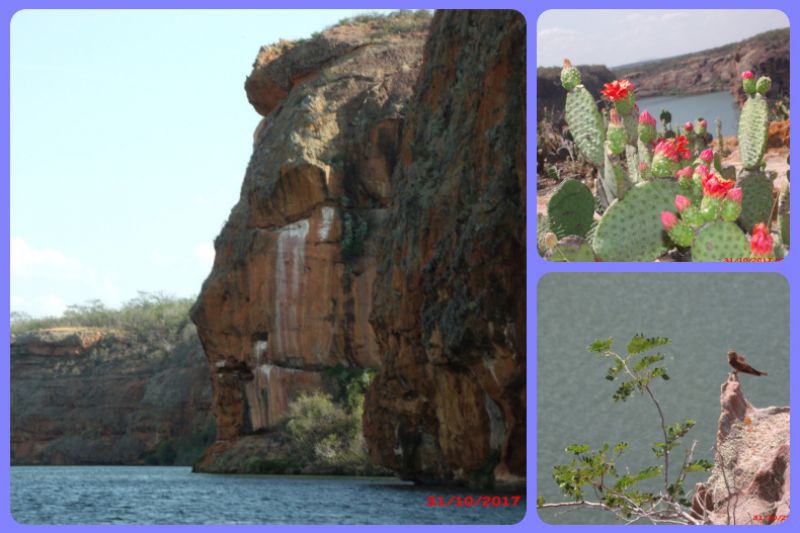 Feliz dia do Rio São Francisco, o rio-mar, Opará